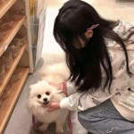 君临臣下三国姬内购破解版下载